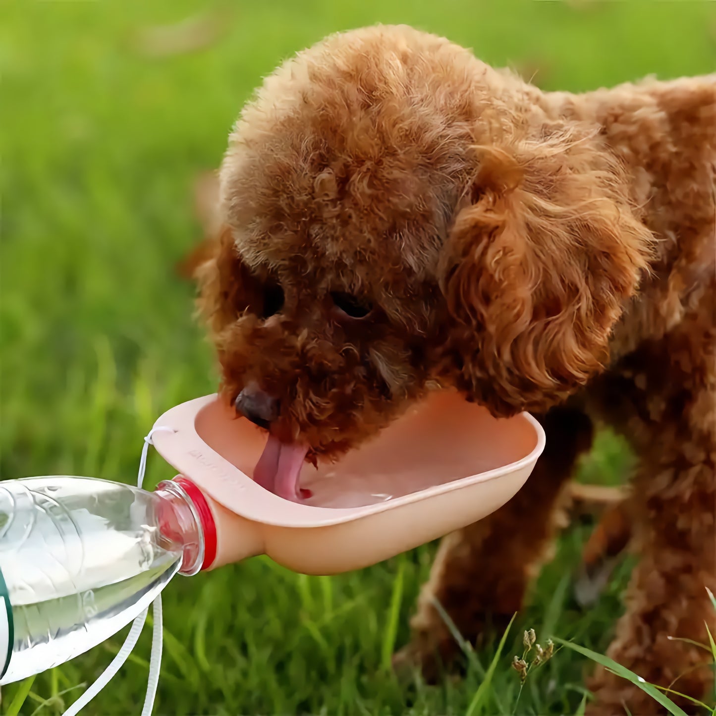 Original pet-safe Travel Water Bowl Feeder For Cats & Dogs - On-Bottle Design